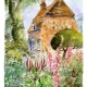 Artists Editions product image